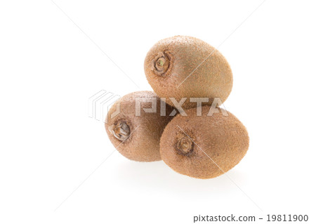 kiwi fruit isolated on white background kiwi fruit isolated on white background 19811900