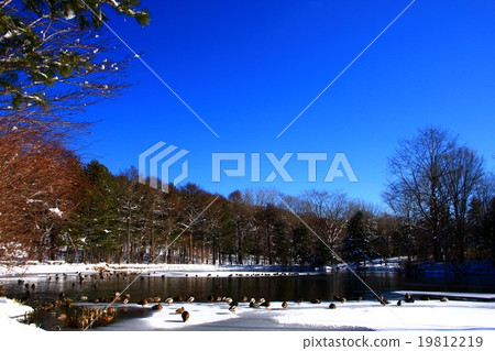 在冬天的水邊 在冬天的水邊 19812219