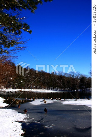 在冬天的水邊 在冬天的水邊 19812220