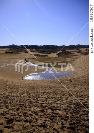 Oasis of sand dune Oasis of sand dune 19812507