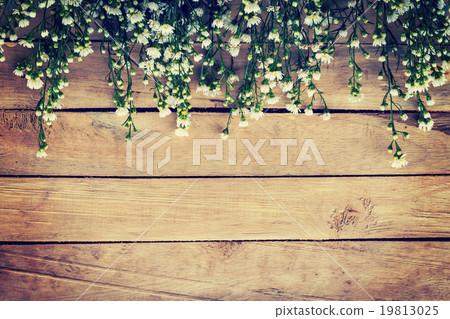 Flowers on wood texture background with copyspace. Flowers on wood texture background with copyspace. 19813025