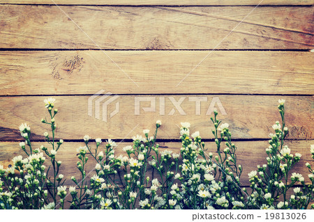 Flowers on wood texture background with copyspace. 19813026