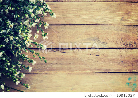 Flowers on wood texture background with copyspace. Flowers on wood texture background with copyspace. 19813027