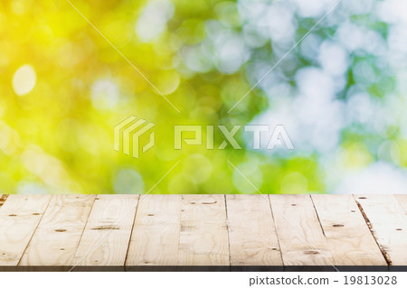 green bokeh and soft light in garden green bokeh and soft light in garden 19813028