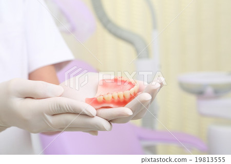 Dentures and hands of a dentist Dentures and hands of a dentist 19813555