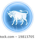 Taurus zodiac icon ice, isolated on white  19813705