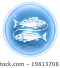 Pisces zodiac icon ice, isolated on white  19813708