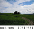 Scenery of Tuscany 19814631