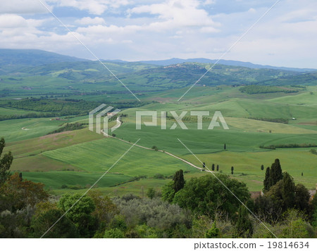 Scenery of Tuscany Scenery of Tuscany 19814634