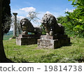 Scenery of Tuscany 19814738