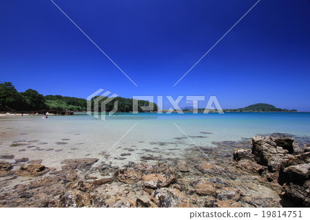 柿子海灘2 柿子海灘2 19814751