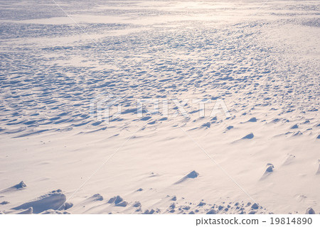 Snowy field 19814890
