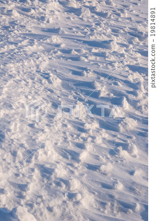 Snowy field Snowy field 19814891