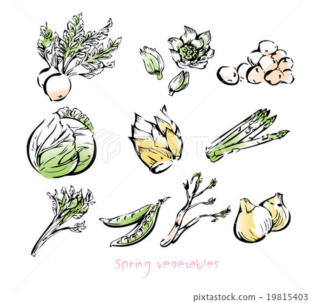 春天的蔬菜 春天的蔬菜 19815403