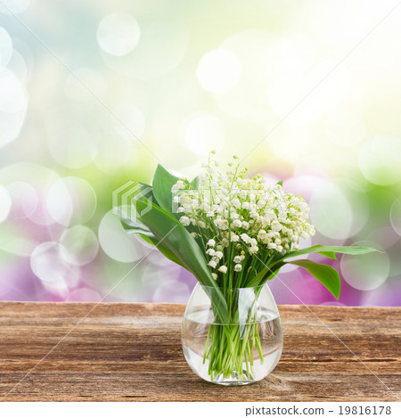 Lilly of valley on wood  19816178