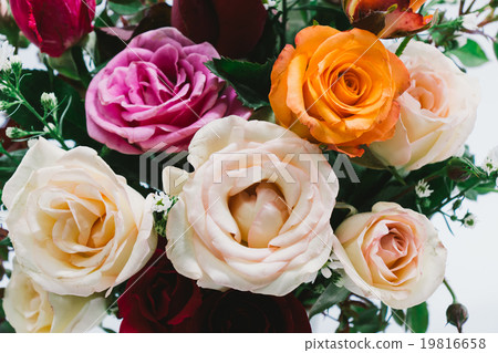 Close up Vase of Roses bouquet, Beautiful flower Close up Vase of Roses bouquet, Beautiful flower 19816658