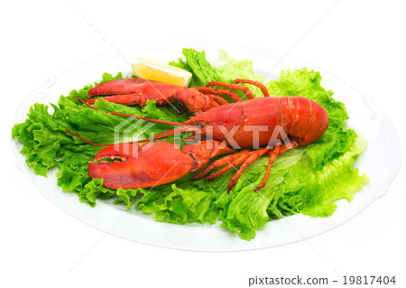 Omaru prawn lobster Omaru prawn lobster 19817404
