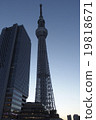 Sky tree Sky tree 19818671