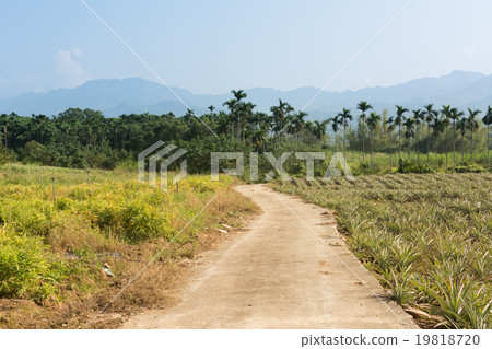 Rural scenery landscape 19818720