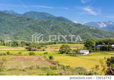 Rural scenery landscape 19818743
