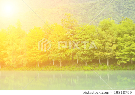 Rural scenery landscape 19818799