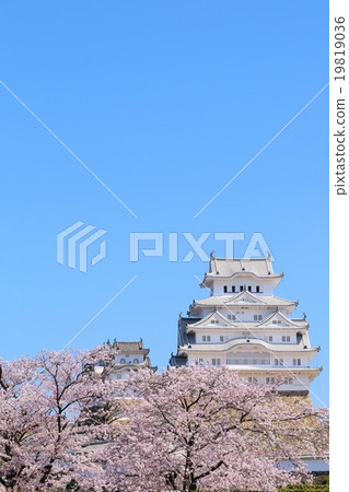 Spring of Himeji Castle 19819036