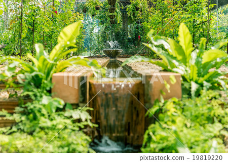Artificial waterfall in botanic garden 19819220