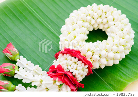 Jasmine garland of flowers. 19823752