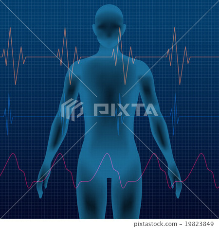 Three-dimensional human silhouette and vital sign vector illustration 19823849