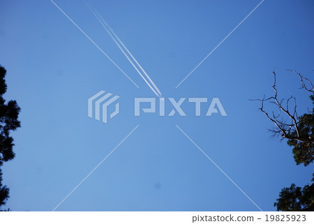 Contrail 19825923