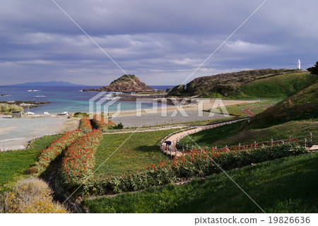 Izu Shimoda's Nunikisaki coast 19826636