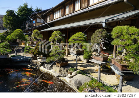 1月春園BONSAI藝術博物館14 Bonsai和Nishikigoi 19827287