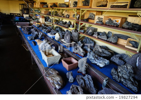 1月春園BONSAI藝術館21三山石 19827294