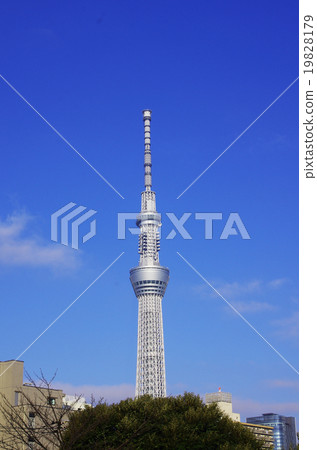 東京天空樹在藍天中閃耀 19828179