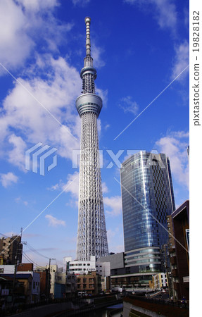 東京天空樹在藍天中閃耀 19828182