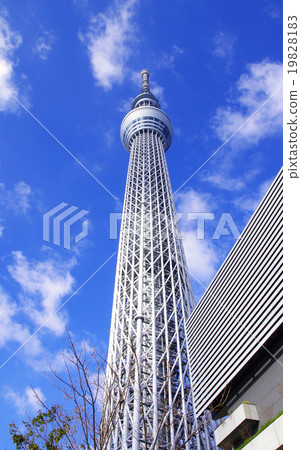 東京天空樹在藍天中閃耀 19828183