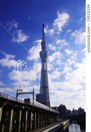 東京天空樹在藍天中閃耀 19828184