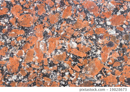 Granite slab Granite slab 19828673