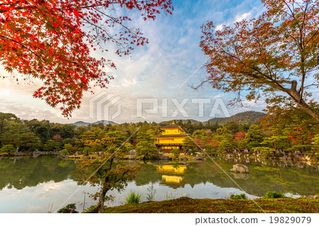 Golden Pavilion Kinkakuji Golden Pavilion Kinkakuji 19829079