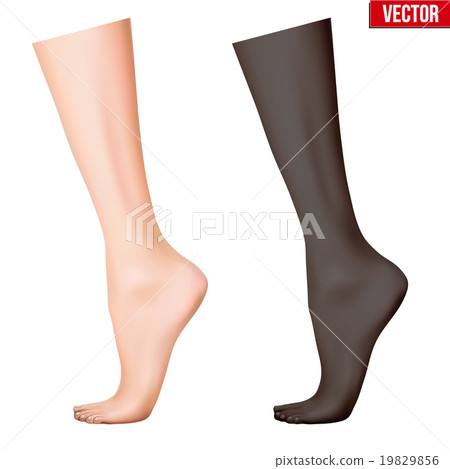 Human legs. Vector Illustration Human legs. Vector Illustration 19829856
