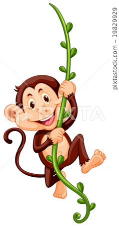 Monkey climbing up the vine Monkey climbing up the vine 19829929