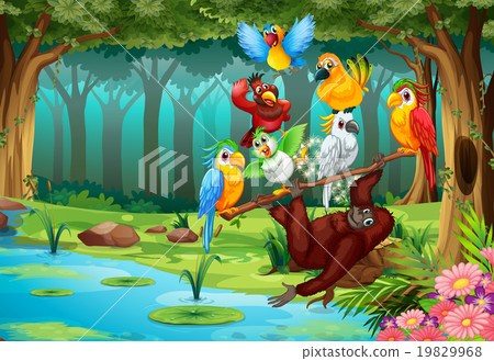 Wild animals in the forest Wild animals in the forest 19829968