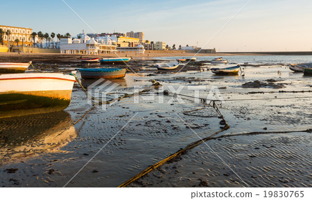 View of Caleta Beach in sunrise time 19830765