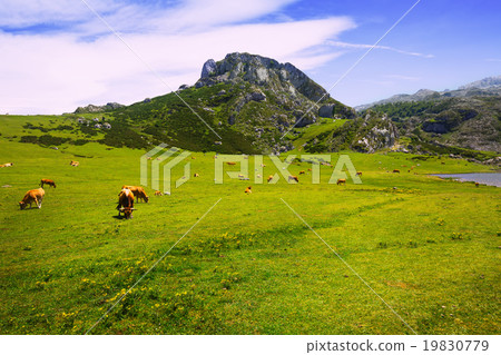 summer mountains landscape with lake summer mountains landscape with lake 19830779