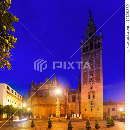 Evening view of Giralda tower. Seville, Spain Evening view of Giralda tower. Seville, Spain 19830880