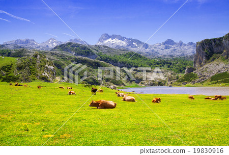 landscape with lake and pasture 19830916