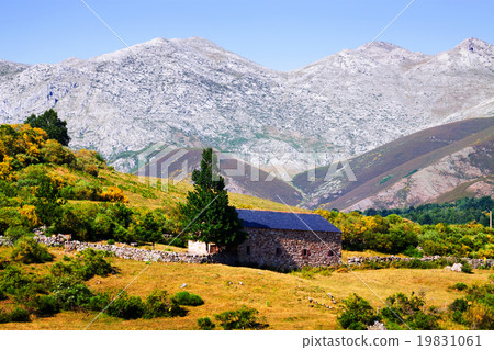 mountain landscape mountain landscape 19831061