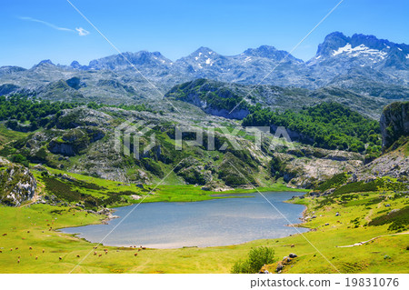 summer lake in Asturias summer lake in Asturias 19831076