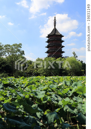 湖州天空公園 湖州天空公園 19831149