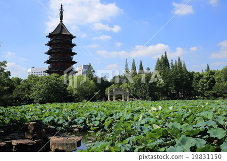 湖州天空公園 湖州天空公園 19831150
